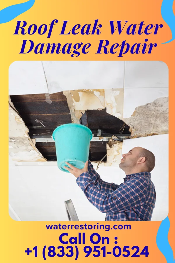 Roof Leak Water Damage Repair in Allen, TX