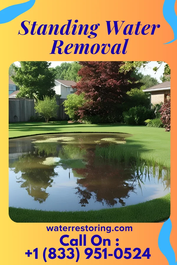 Standing Water Removal in Allen, TX
